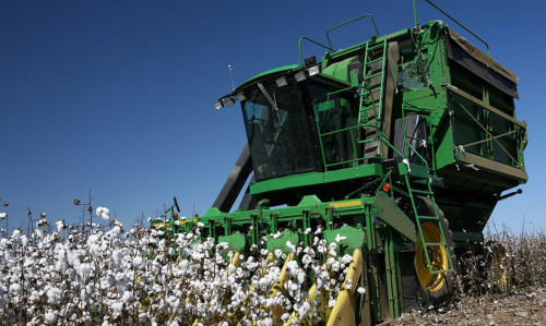 Жиын-терін жалғасуда