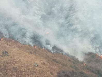 Жамбыл облысында 650 гектар жер өртенді