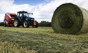 23,2 млн тонна шөп дайындалды – АШМ