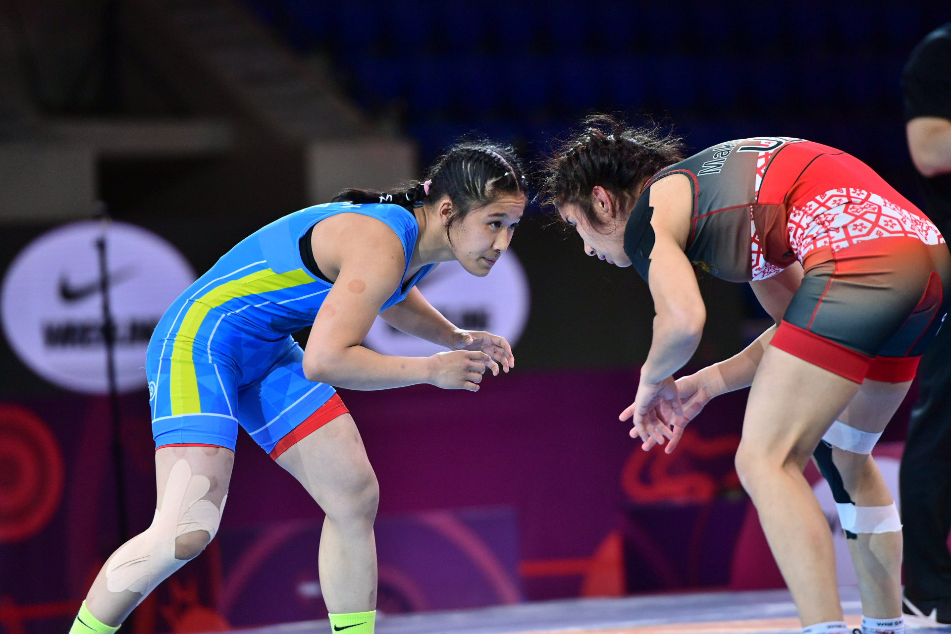 Боз кілемде – бұрымдылар