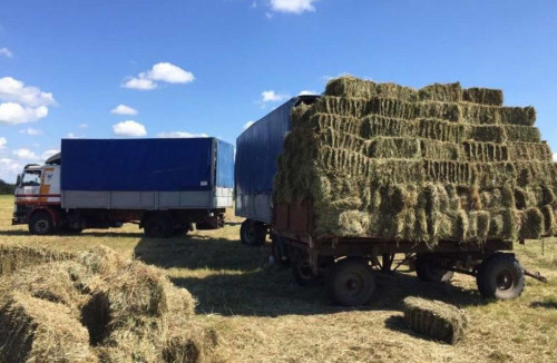 Ауыл шаруашылығына  мән беріле бастады