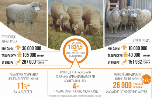 Қой шаруашылығы: Мүмкіндіктер мен кедергілер