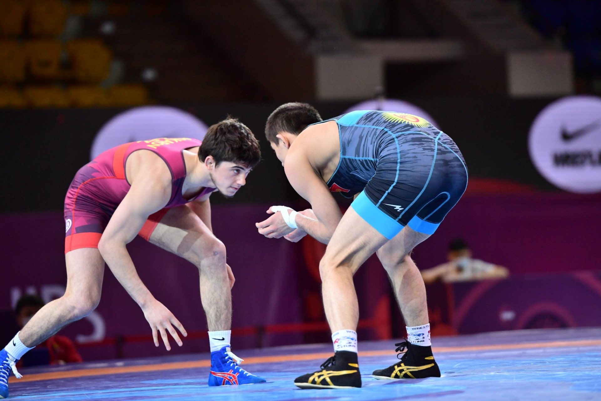 Ослодан олжасыз оралды