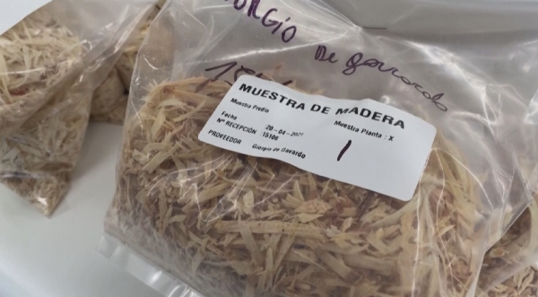 Ағаштан коронавирусқа қарсы вакцина әзірленуде