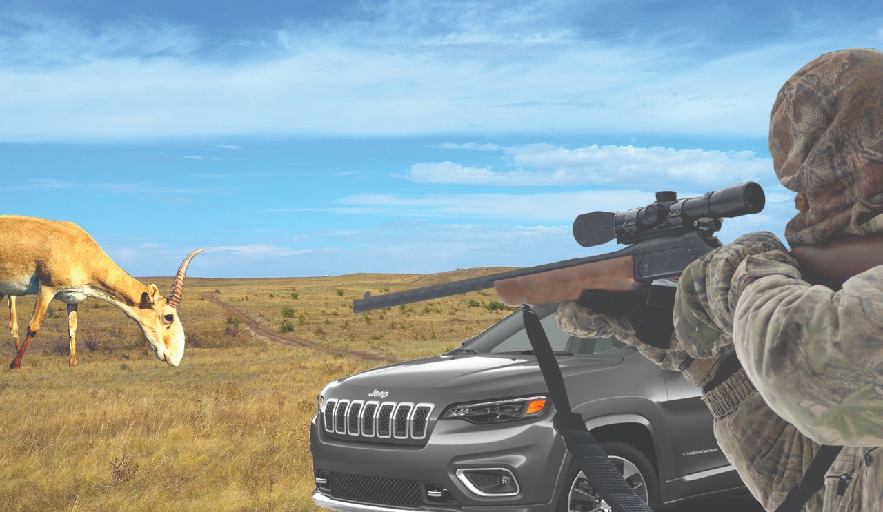 Жаза қатаң болса да, браконьерлік тыйылар емес