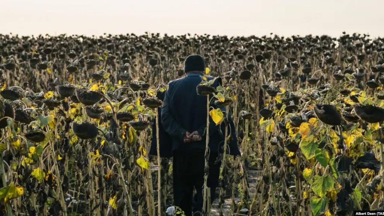 Өзбекстан Ресейдің ең құнарлы жерін жалға алмақ