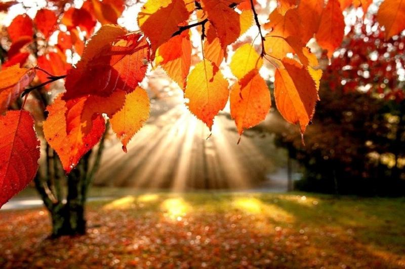 Алдағы демалыс күндері күн күрт жылынады