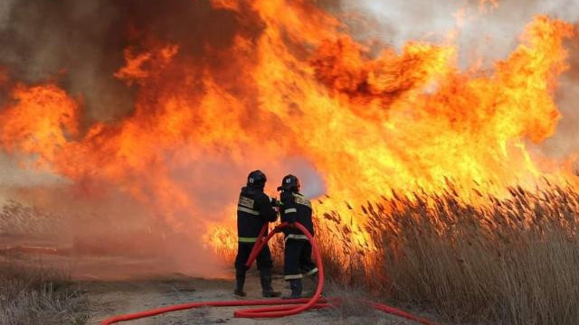 Каспий теңізінің жағалауындағы қамыс өртін сөндіру қайта жалғасты