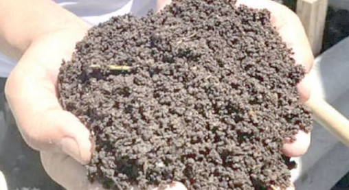 Шылаушынның  шығыны аз, пайдасы көп