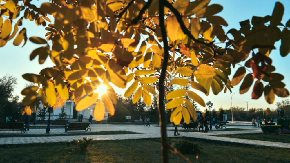 Алдағы күндері ауа температурасы 23 градусқа дейін көтеріледі