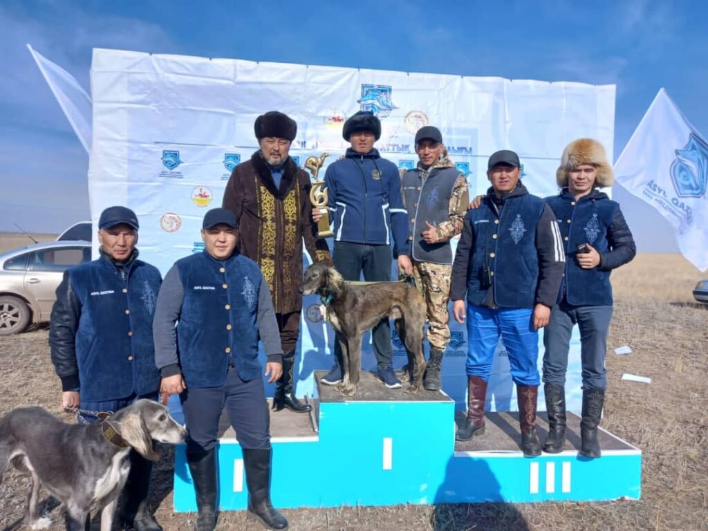 Бір қызық ит жүгіртіп, аңға шықса...