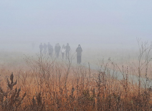 Қалаларды қалың тұман басып тұр