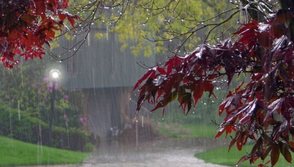 Ертең ел аумағында жауын-шашын, көктайғақ, боран болады