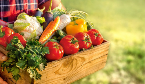 Органикалық өнім өндіруге мүмкіндік мол