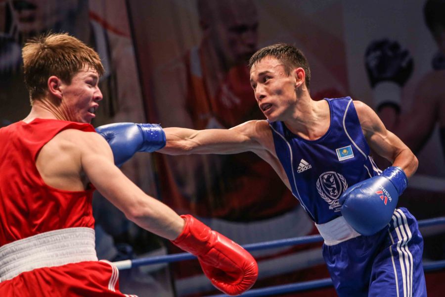 Бүгін төрт боксшымыз шаршы алаңға шығады