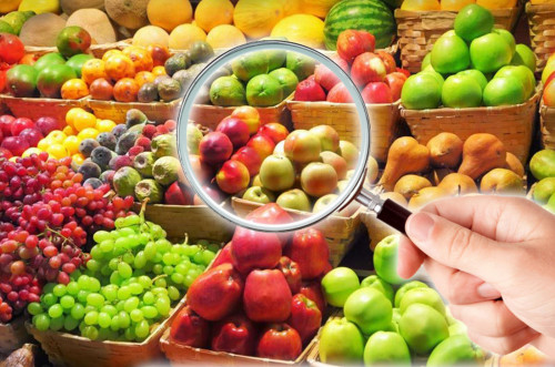 Заңсыздықтың алдын алды