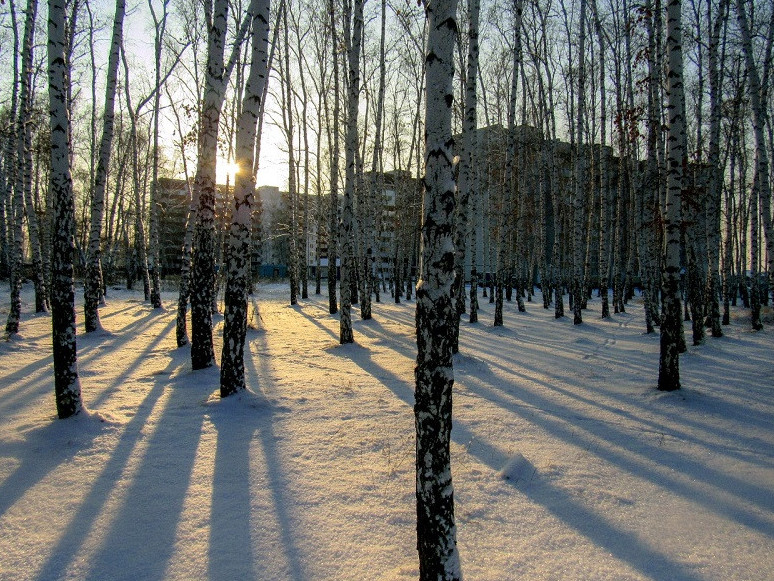 Кәрі құдаң – қыстың әлегі аязы ғана емес...