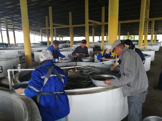 Балық шаруашылығындағы бәсекелестік