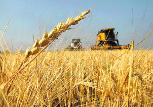 Астық жинау науқаны аяқталды