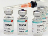 Түркия Turkovac вакцинасын мақұлдауға өтініш берді