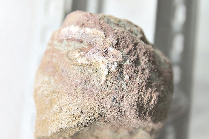 Миллион жыл сақталған сүйек