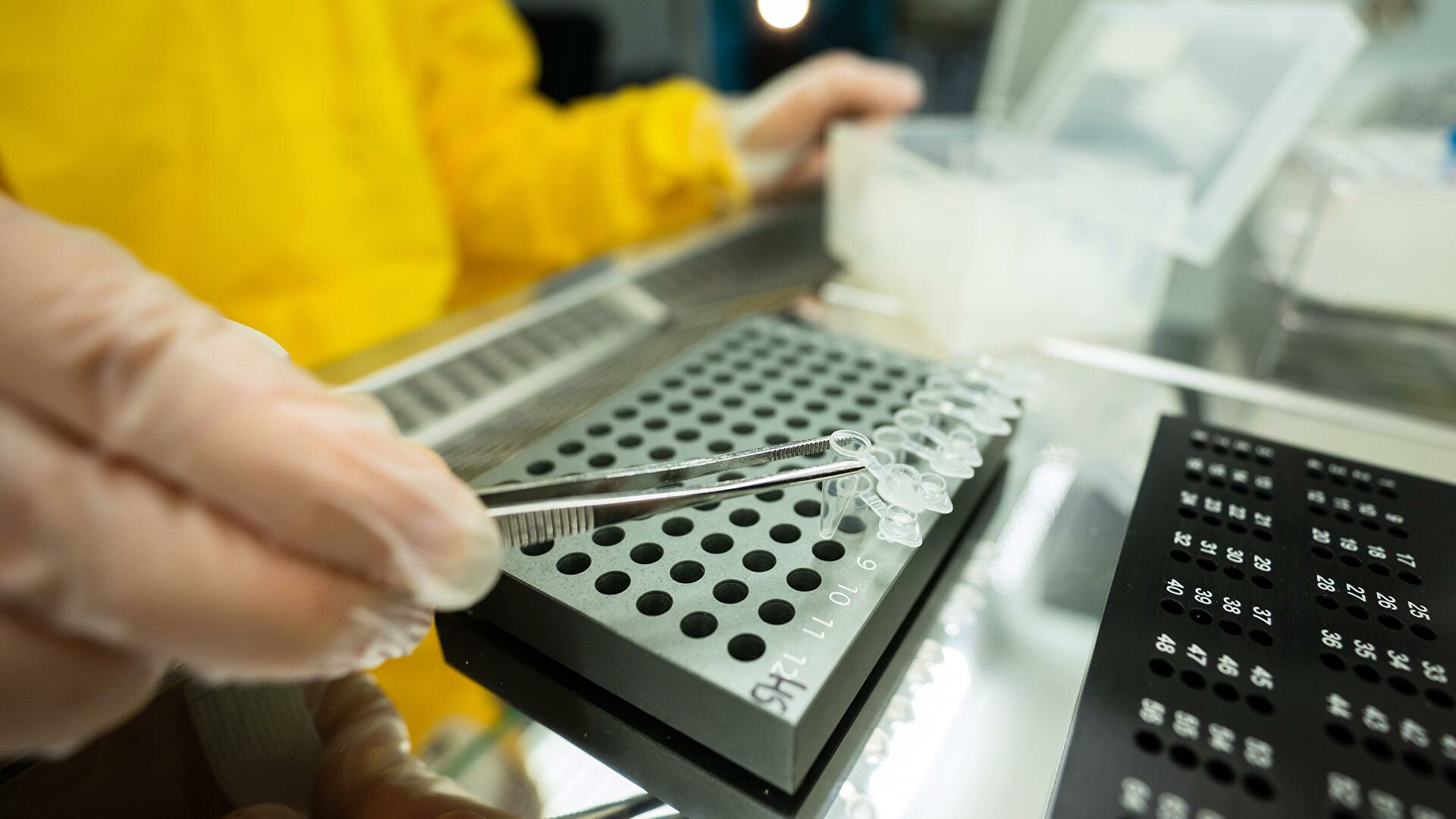 Сенегалда омикрон штаммын жұқтырған алғашқы адам анықталды