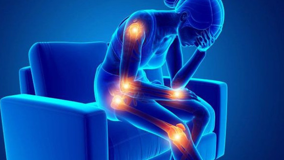 Иммундық жүйе неге жаңылады?