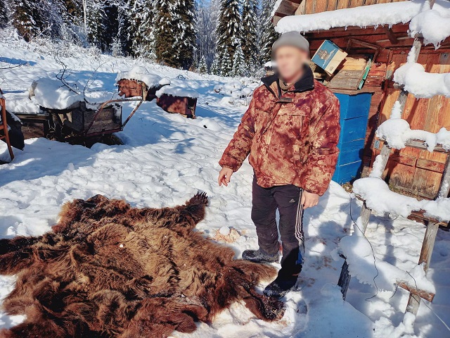 Аю аулағандарға аяушылық жоқ