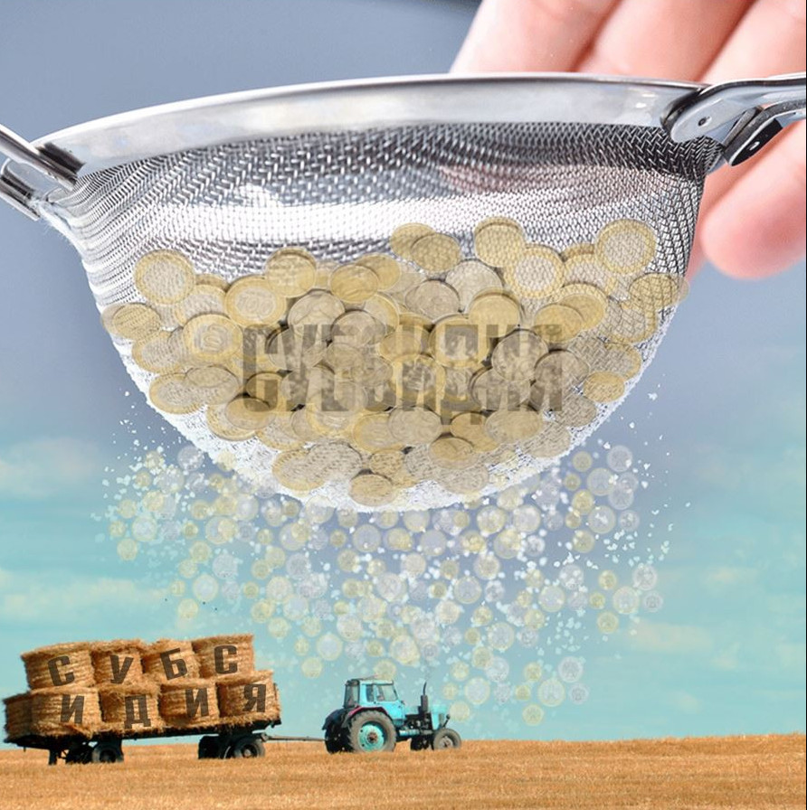 Сүзгіден өткен субсидия