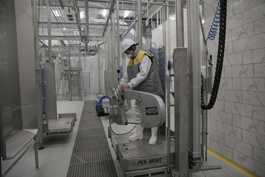 Экспорт өнімдерін шығарады