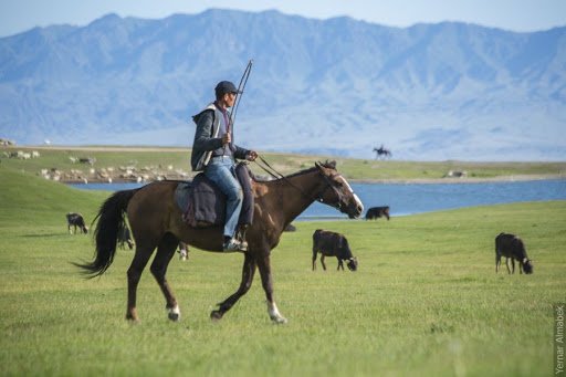 Малшы мазасыз, қасқыр жазасыз