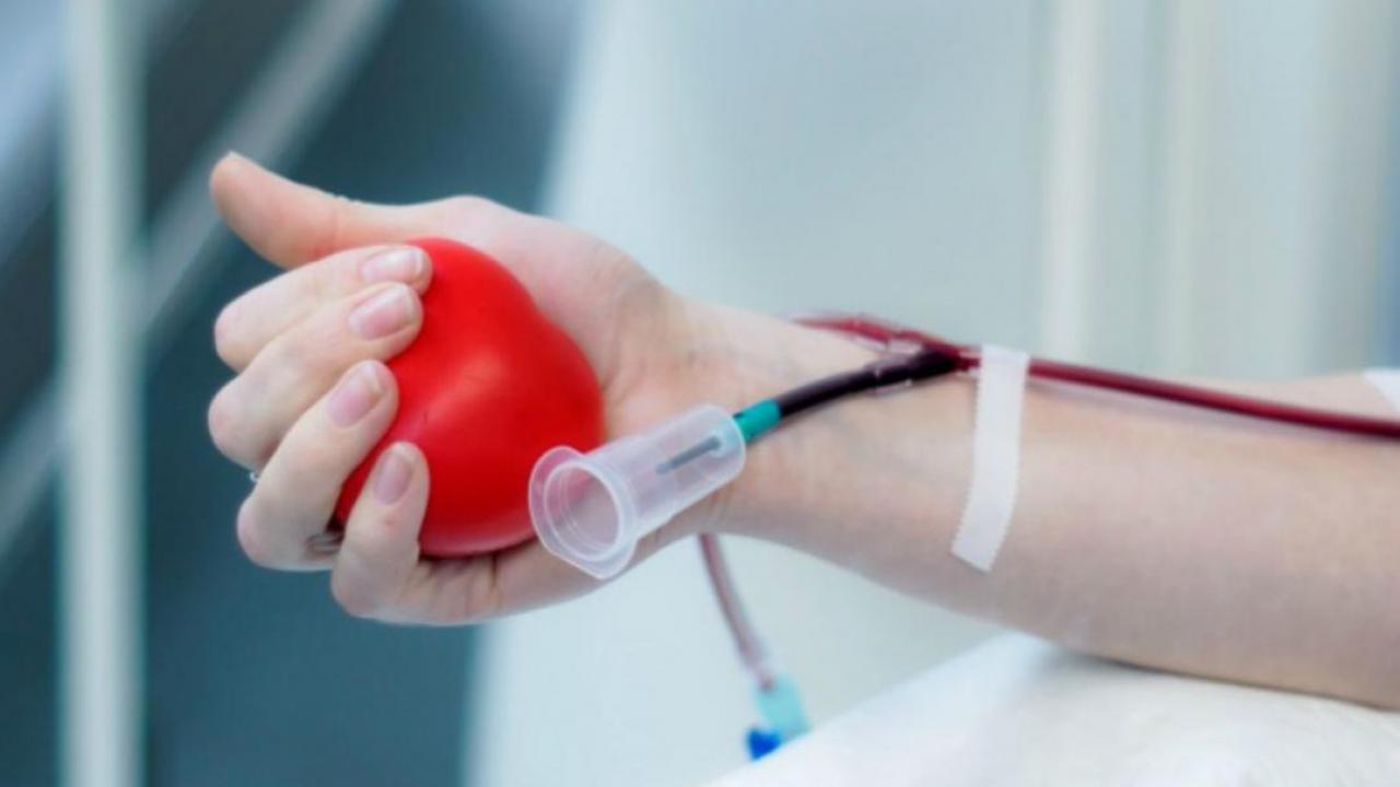 Донор болу – өмір сыйлау