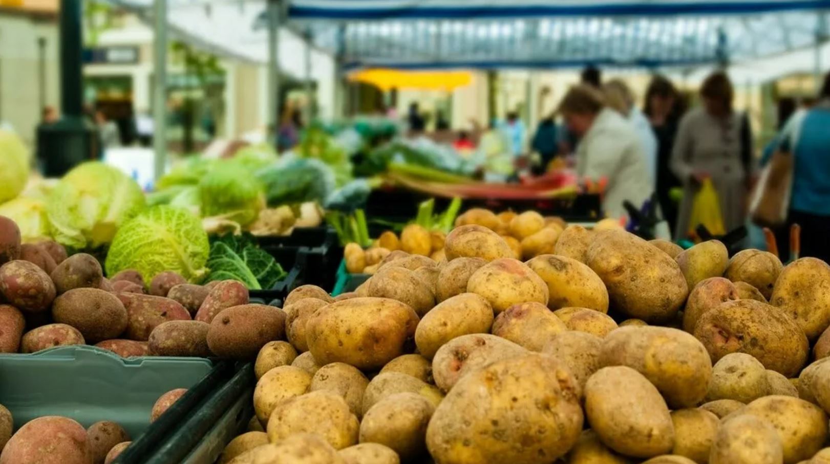 Өңірде баға байлауға көнбей тұр