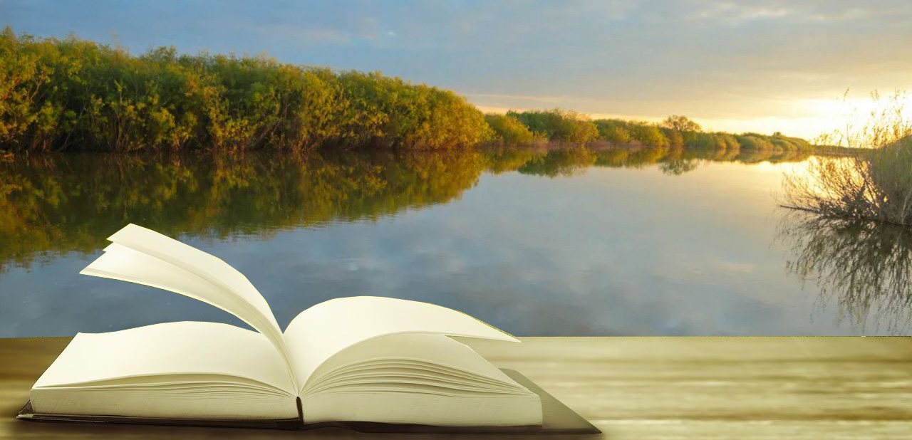 Сарысу бойлаған сағым жұрт...