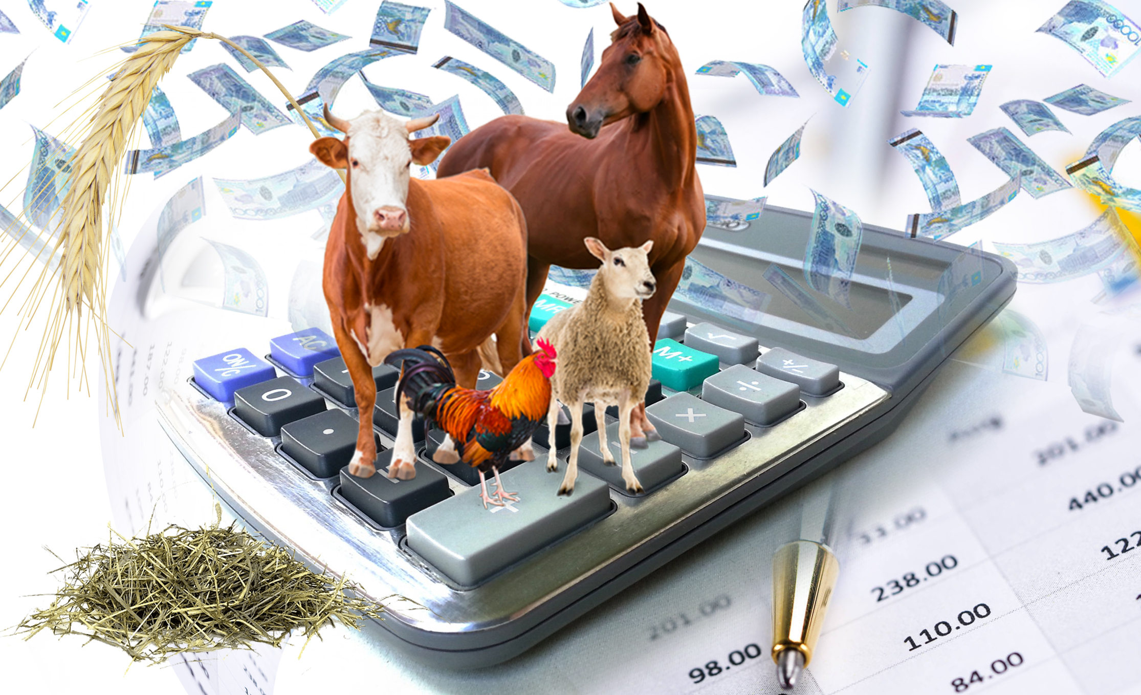 Қайтарымсыз грант –  оңды-солды ақша үлестіру емес