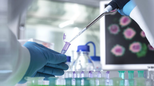 Үздік ғалымдар марапатталды