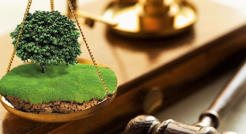 Жетеге жетпеген жер дауы