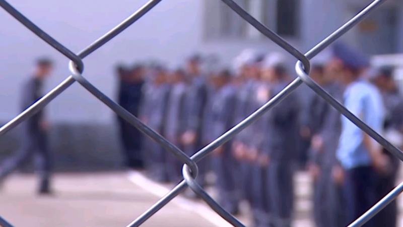 85 адам бостандыққа шықты