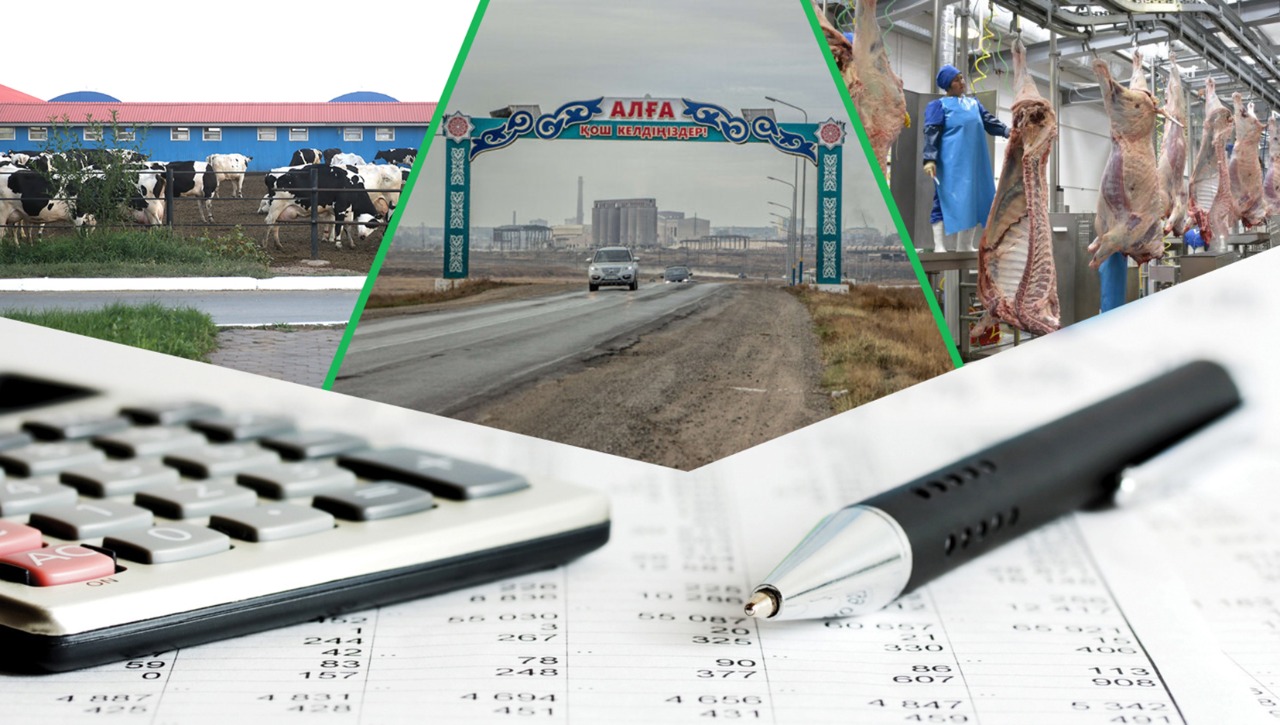 Даму бюджеті мен дағдарыс бюджетінің арасы