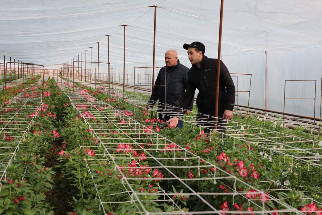 Гүлдерге сұраныс жоғары