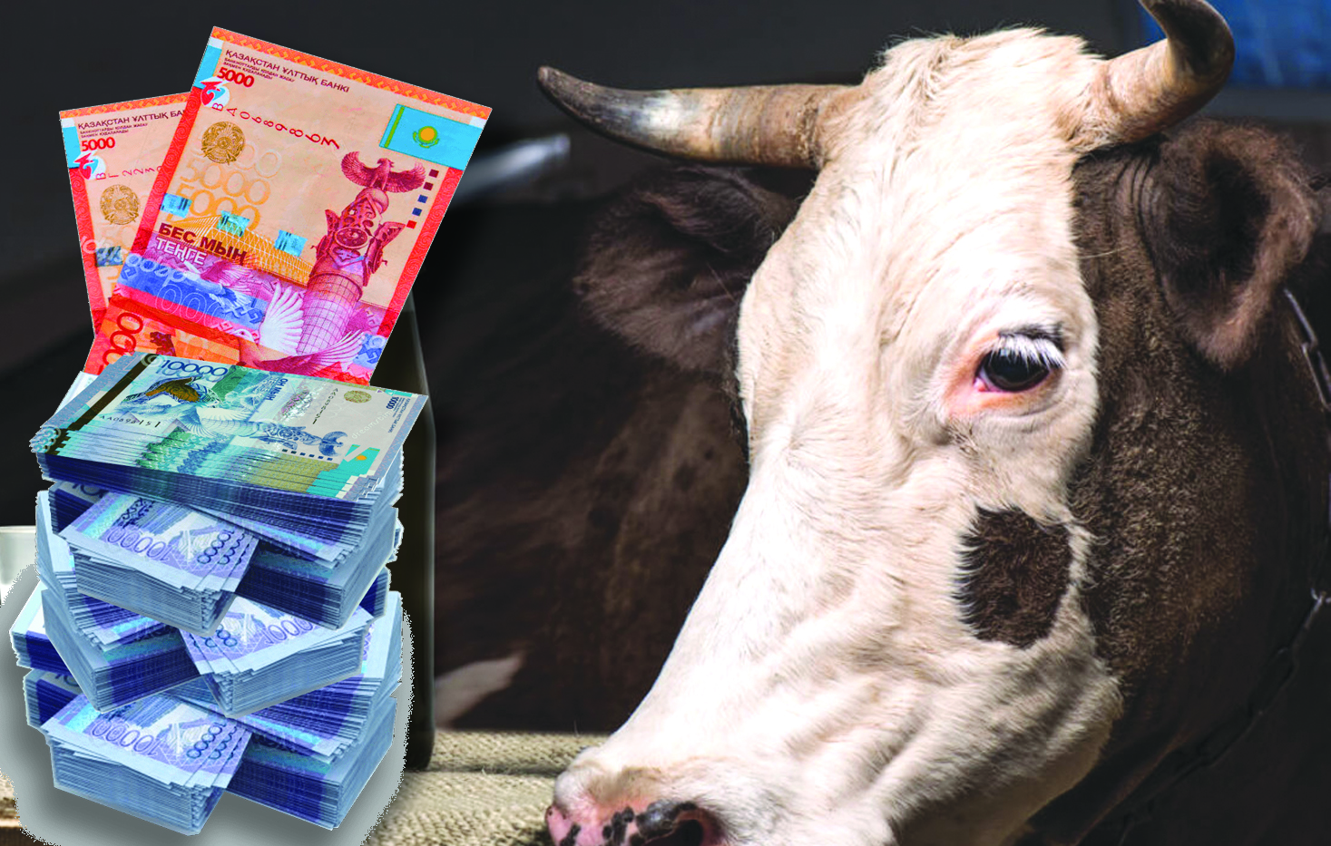 Жоқ малды субсидиялаған