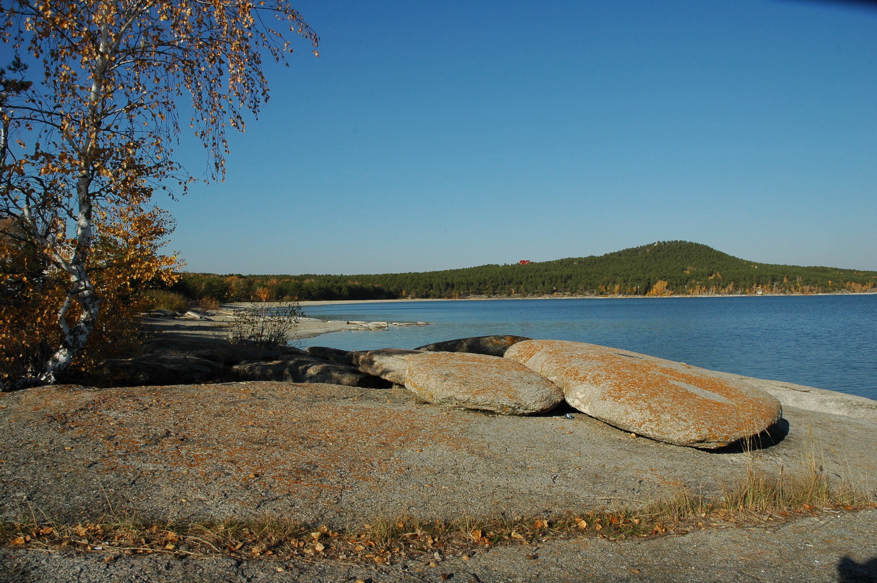 Зерендіде 500-ге жуық жаңа жұмыс орны ашылды
