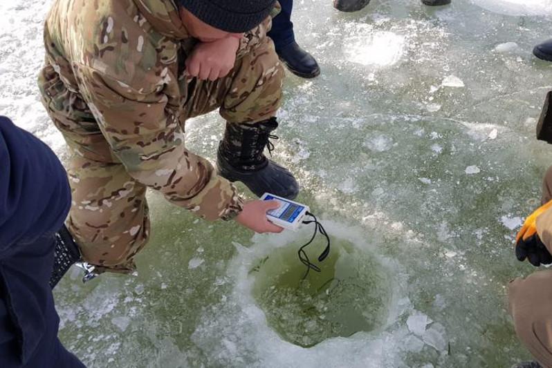 Қызылорда облысындағы балықтардың қырылу себебі анықталды