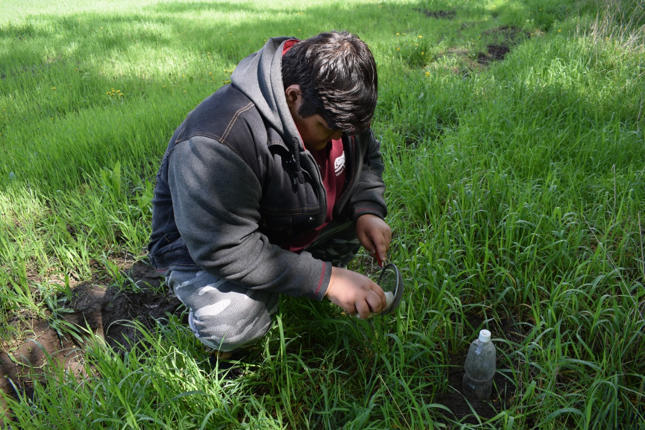 Дала атырабын зерттеп жүр