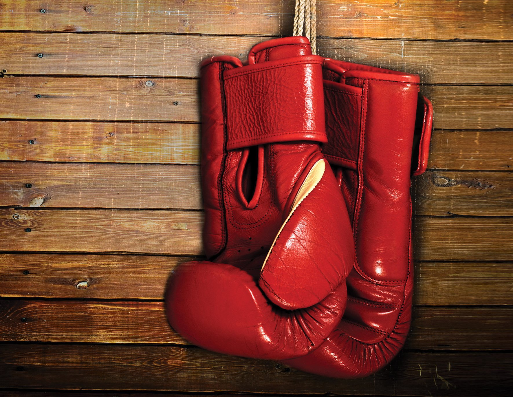 «Зейнеткер» Головкин үшін рингке оралмайды – сарапшы