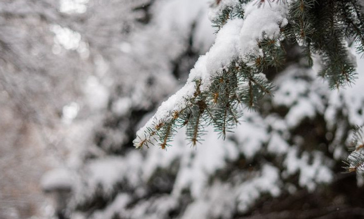 Қыстың соңғы күндері жауын-шашынды болады