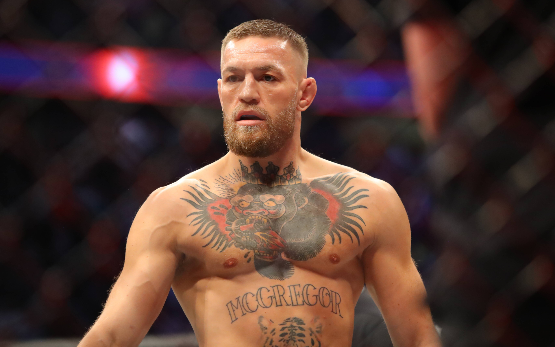 Конор Макгрегор октагонға қашан оралатынын айтты
