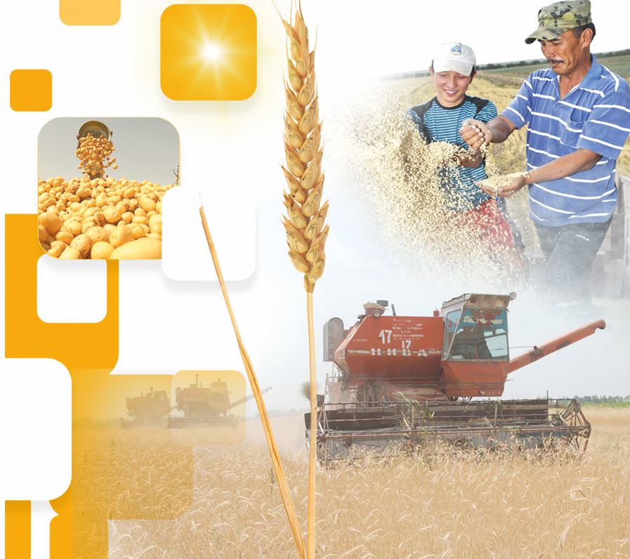 Мол өнімнен үмітті