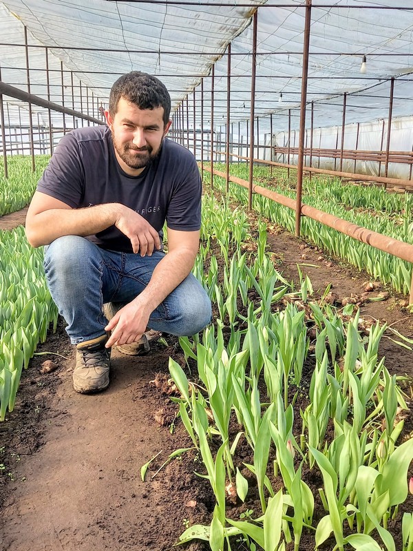 Перу лалагүлі – перизат жандарға