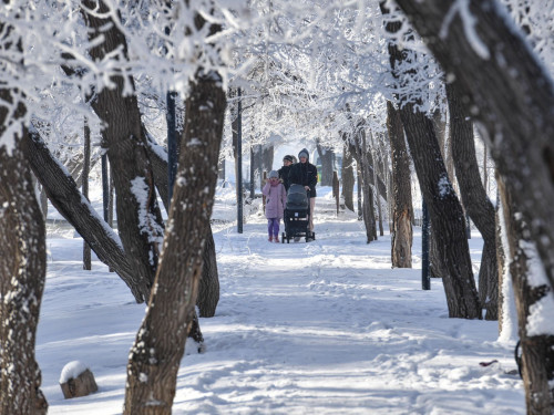 Саяси реформа  қажыр-қайратты қажет етеді